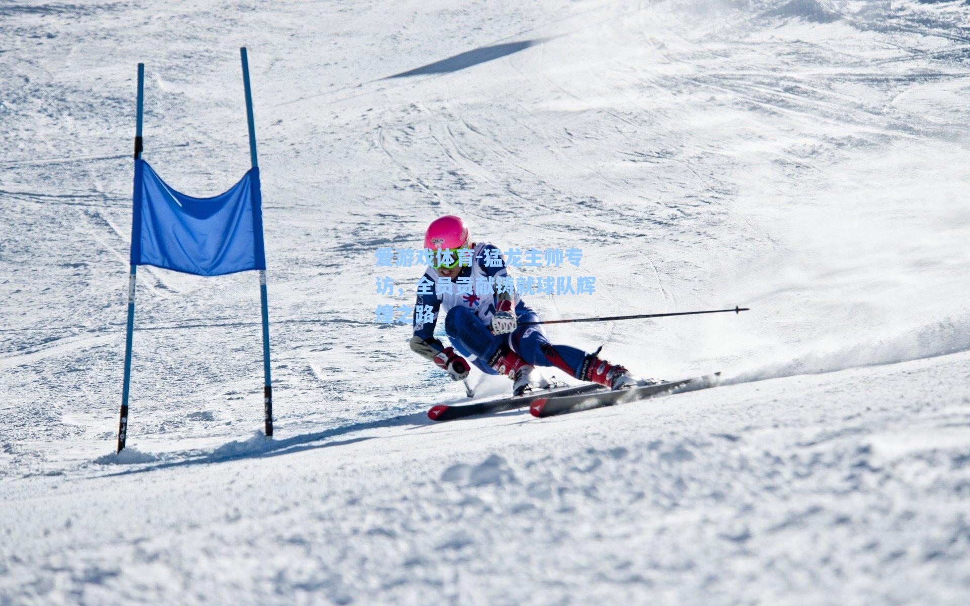 猛龙主帅专访，全员贡献铸就球队辉煌之路