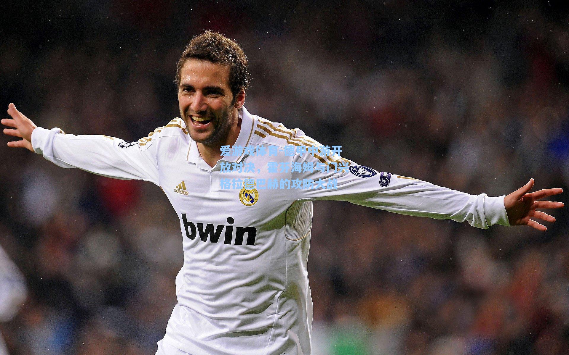 爱游戏体育-德甲中游开放对决，霍芬海姆与门兴格拉德巴赫的攻防大战