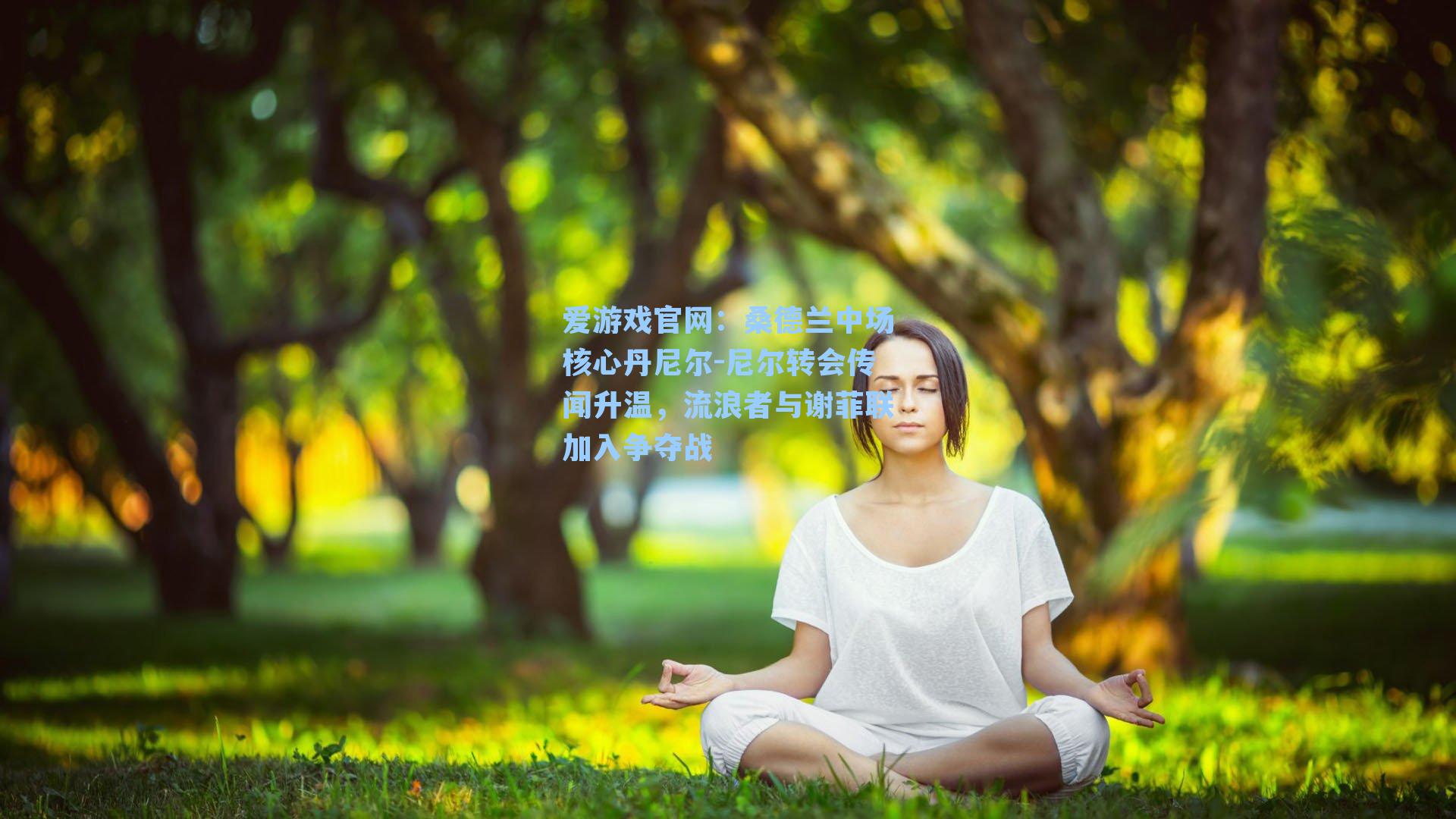 爱游戏官网：桑德兰中场核心丹尼尔-尼尔转会传闻升温，流浪者与谢菲联加入争夺战